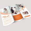 Các loại brochure: Hướng dẫn và ứng dụng hiệu quả trong marketing